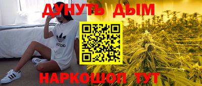 стаф Канаш
