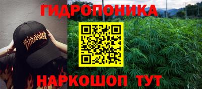 марихуана Камышлов