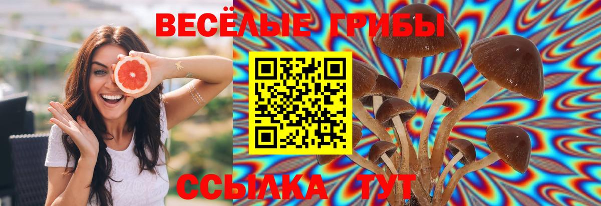 Галлюциногенные грибы Psilocybine cubensis Лангепас